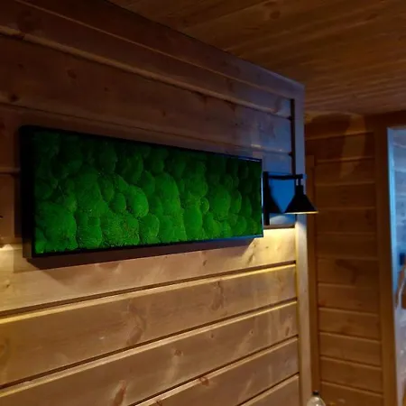 Mlodge - The Mountain فيلة *