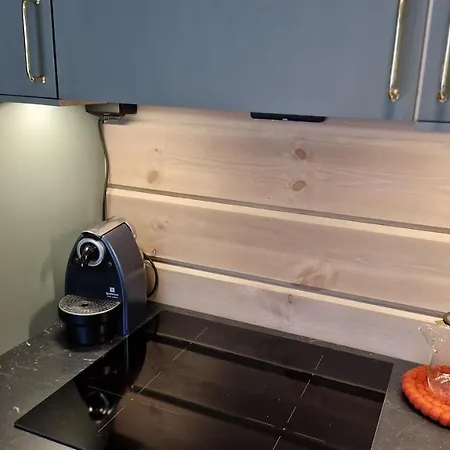 Mlodge - The Mountain Villa Sogndal